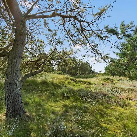 Bl1619-blokhus-klitheden-nord-42