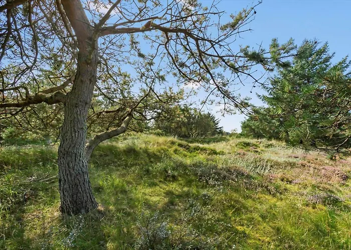 Bl1619-blokhus-klitheden-nord-42